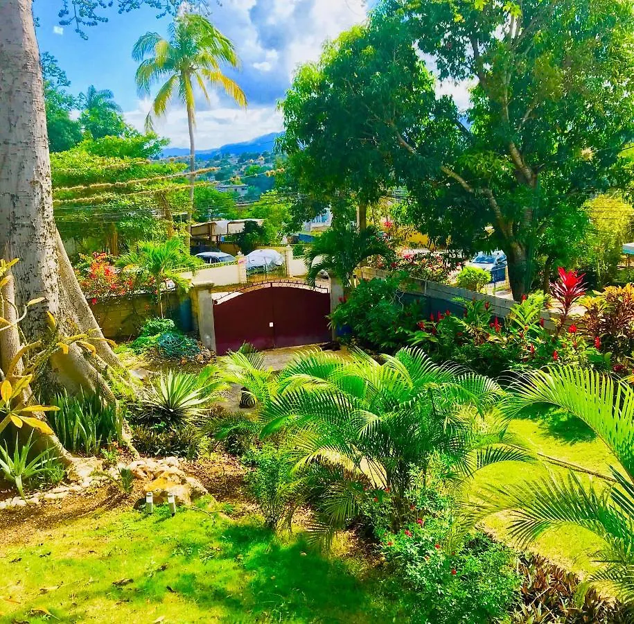 Home Or Away Studio Apartments Montego Bay Giamaica