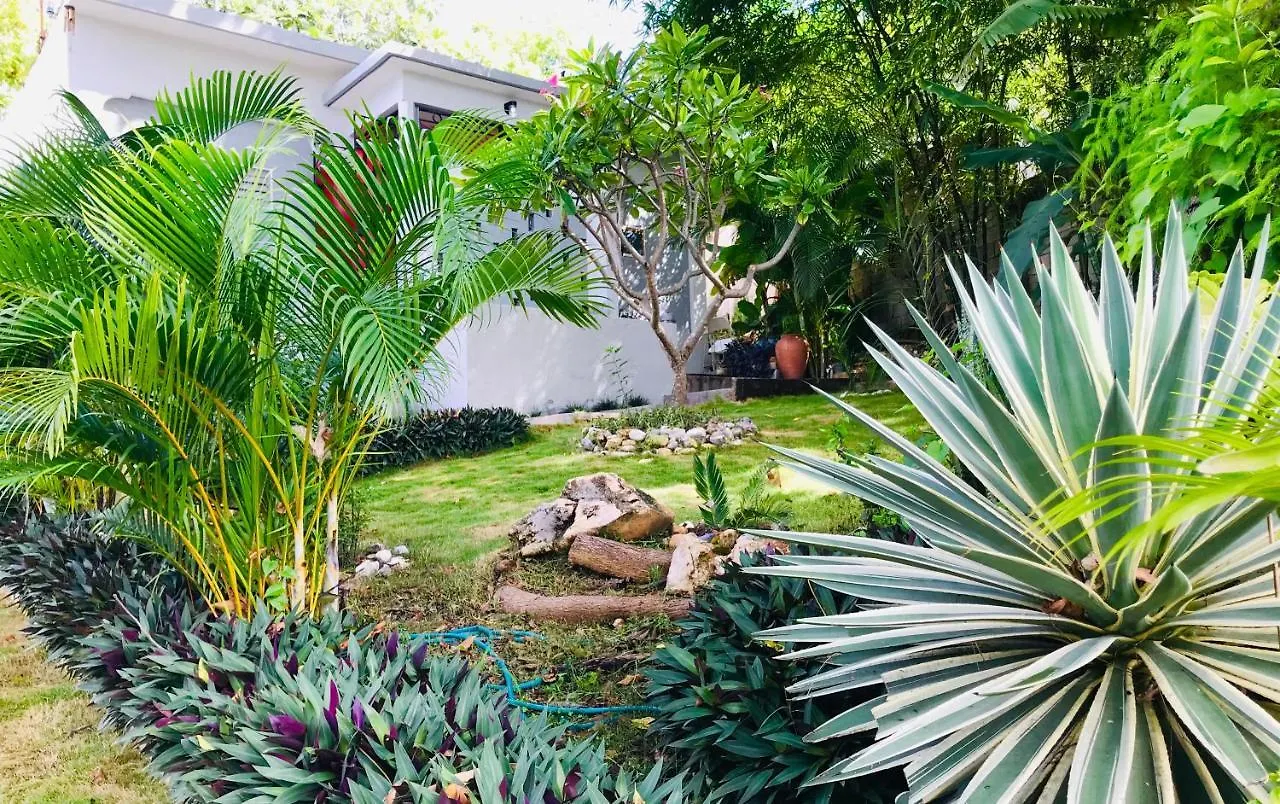 Home Or Away Studio Apartments Montego Bay