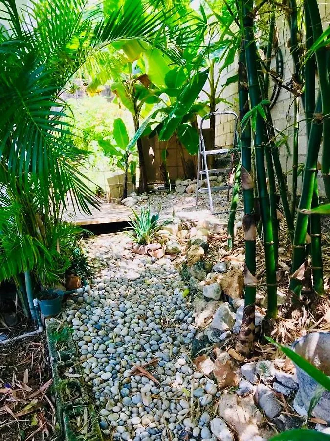 Home Or Away Studio Apartments Montego Bay